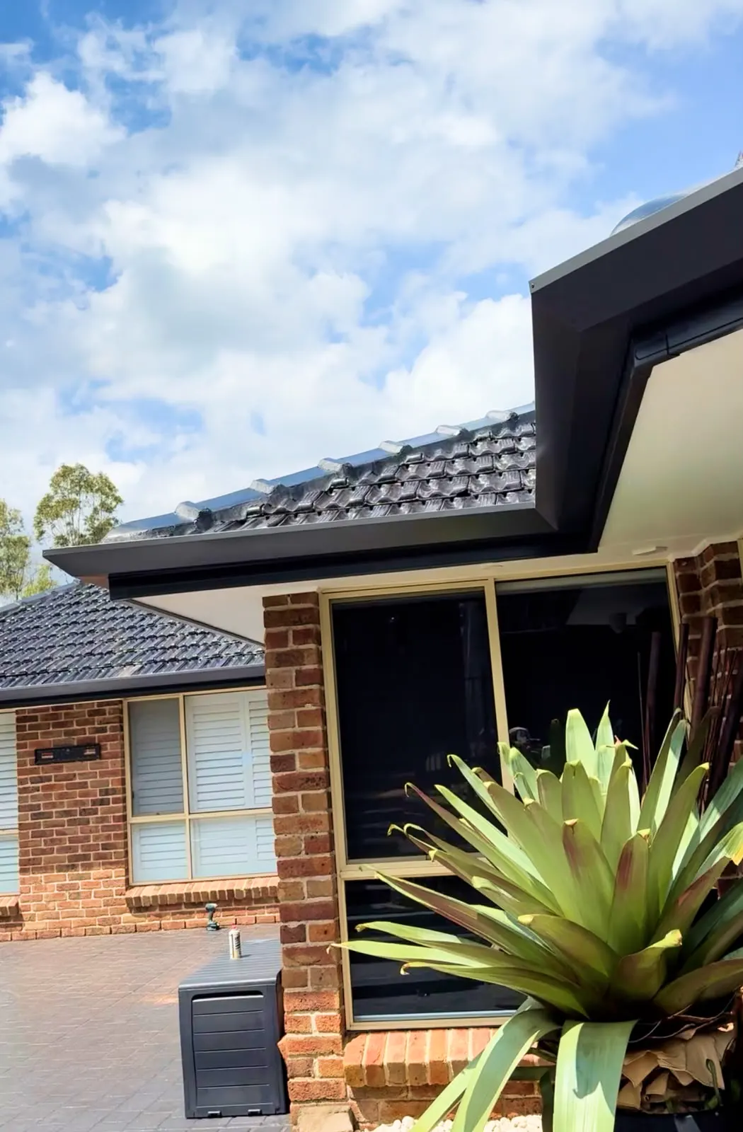 Gutters & Fascias